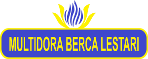 logo ini